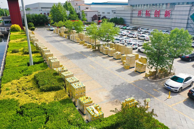 ���������ġ���BET16������(�й�)Ψһ�ٷ���վ��ר����������Ϯ��